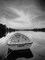 Rowboat on Summer Lake Poster Print by Anonymous Anonymous - Item # VARPDXFAF151